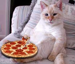 Pin De Tara Neylon Em Funny Como Fazer Pizza Engracado Coisas Engracadas