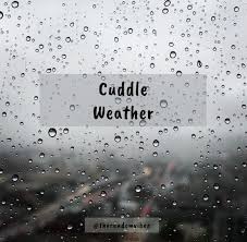 Rain has the power to enrich and nourish nature and mind. 45 Cuddle Weather Quotes Perfect For Cold Rainy Days