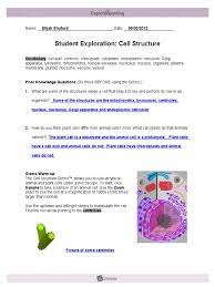 The youngest seamen would lift the satchels off the ground while the explosives men steered. Module1 Lesson1 Cellstrucgizmo Shuford Eukaryotes Biology