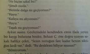 Senin Tuttugun Fare Kadar Benim S Ktigim Kedi Var Bu Denklemi Biliyor Musun Denklem Dalga Biliyor Muydunuz
