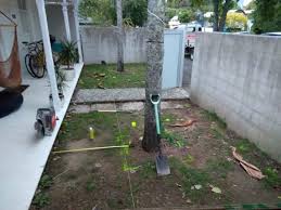 Tmc concrete & paving llc is a locally established licensed concrete and paving company serving the entire delaware valley region. Concrete Layers Paving Concrete Specialists Complete Landscape Solutions