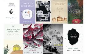 Jennifer finney boylan she's not there: 9 Stunning And Beautiful Poetry Books The Curious Reader