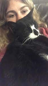 But cats are highly territorial and when a new cat suddenly appears in their home it can cause confusion and chaos. My Baby Has Been Missing For A Week I M So Heartbroken I Miss Her So Much Cats