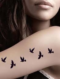 Product Information Product Type Tattoo Sheet Set Tattoo Sheet Size 10 5cm L 6cm W Tattoo Application Removal Instruct Gecici Dovme Kus Dovmeleri Dovme