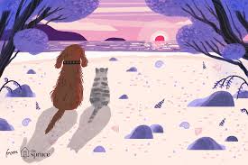 Helping a puppy learn to sleep normally with an established routine and location is crucial to proper development. What To Expect When Your Pet Is Put Down