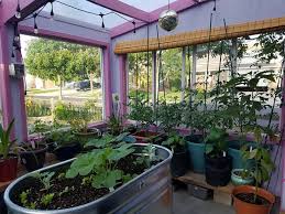 However, greenhouses built from a wooden frame make excellent, beautiful additions to any backyard. Residential Greenhouse Design Custom Backyard Greenhouse Design Ceres Greenhouse