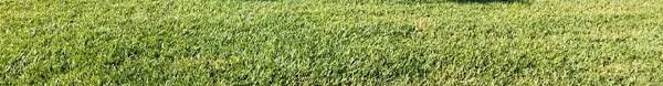 Nonetheless, along amid the marvelous climate and the greenery around, fairfield. Lawn Care Maintenance Services Local Most Dependable Provider