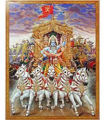Who Had Killed Krishna?