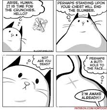 Things That Cats Do And We All Have To Live With Comics How To Cat Crazy Cats Cat Comics