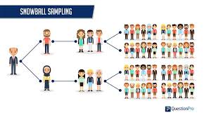 Why use purposive sampling in research? Snowball Sampling Definition Method Advantages And Disadvantages Questionpro