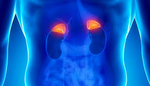 Image result for Intravenous Pyelogram