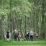 Forage and Cookery Course in Dumfries and Galloway