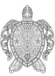 These free, printable summer coloring pages are a great activity the kids can do this summer when it. Hard Things To Color Turtle Coloring Pages Mandala Coloring Pages Summer Coloring Pages