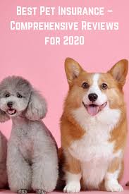 Best pet insurance companies 2021 get transparent information on what to expect with each pet insurance company. 8 Best Pet Insurance Companies For March 2021 Lendedu Best Pet Insurance Pet Insurance Pets
