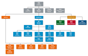 Operational Structure Incico Spa