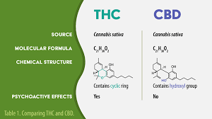 Time to stop chasing my first high. Thc Vs Cbd Uses Side Effects And Structure Lab Manager