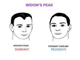 Many men and women in the world are not satisfied with the way they look. Why Do I Have A Widow S Peak Hairline Ds Healthcare Group