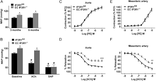 Systolic pressure is the blood pressure reading when your heart beats. Maintenance Of Normal Blood Pressure Is Dependent On Ip3r1 Mediated Regulation Of Enos Pnas