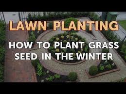 How to choose grass seed for growing grass in your area. How To Plant Grass Seed In The Winter Youtube