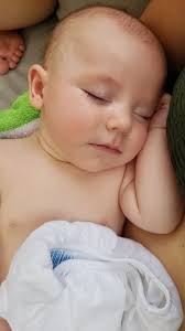 Calvin Howard Obituary (1937