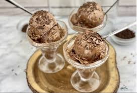 Homemade ice cream that's healthy for the family. Protein Packed Low Fat Chocolate Ice Cream Heather Mangieri Nutrition
