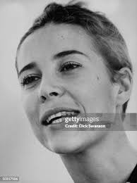 320 Captured Viet Cong Stock Photos, High-Res Pictures, and Images