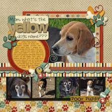 National dog day quotes 2021; International Dog Day 2021 When Why How To Celebrate Bookmypainting