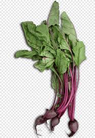 Collard greens are quite similar to other fibrous greens, like spinach, swiss chard, and kale. Chard Spring Greens Spinach Collard Greens Garden Rhubarb Green Vegetables Purple Leaf Vegetable Png Pngegg