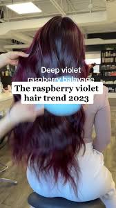 Image result for Raspberry 1993 Shadow