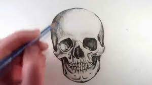 How To Draw A Realistic Skull: Narrated Step By Step - Youtube