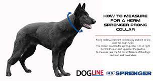 In many countries, they are actually called training collars. Herm Sprenger Neck Tech Stainless Steel Prong Dog Training Collar With Quick Release Buckle Pet Pinch Collar No Pull Collar For Dogs Made In Germany 19 Inches Walmart Com Walmart Com
