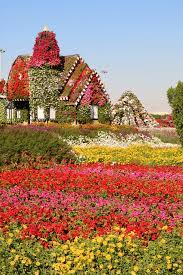 Dubai Miracle Garden 2016 A Desert Oasis Of 45 Million Flowers World Travel Adventurers