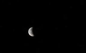 Jardiner Avec La Lune Comment S Y Prendre Abreuvoir Oiseaux Lune Et Planter Des Legumes