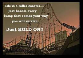 Just Hold On Roller Coaster Life Thought Of The Day