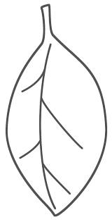 Apple tree leaf coloring page. Coloring Pages Apple Leaves Coloring Pages
