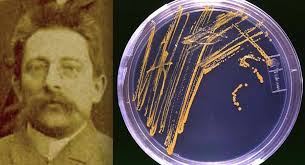 Julius Richard Petri, German physician/bacteriologist, was born 166 years  ago today! 🎂🎈🎁🇩🇪🔬 You may not recognise his face, but any  microbiologist will be more than familiar with his invaluable  invention...the Petri dish!