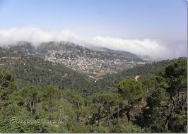 Discover Lebanon Image Gallery Cities Village Of Choueir Village City Natural Landmarks