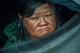 Photos: This family is back