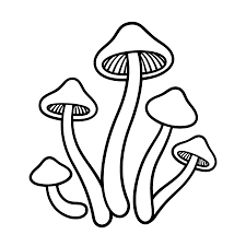 Nov uploaded by eddy echeverri vahoslas bacterias quelos. 9 819 Mushroom Fungi Vectores Ilustraciones Y Graficos 123rf