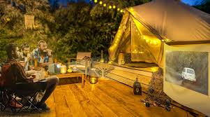 Sự khác nhau giữa Camping và Glamping｜BenQ Việt Nam