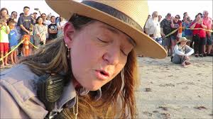 I just got back from my annual visit to Padre Island National Seashore.  2025 has been an excellent year for Texas sea turtles as Dr. Donna Shaver  explains in the video clip. These public hatchling ...