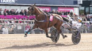 INMAROSA (résultats et engagements) | LETROT