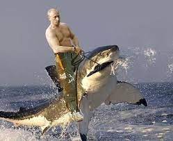 Vladimir Putin Kgb To President For Life Putin Funny Funny Pictures Meanwhile In Russia