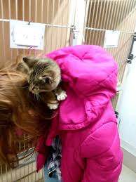 This Is One Of The Kittens That On Taking Care Of Out My Workplace Pet Care Bean Bag Chair Workplace