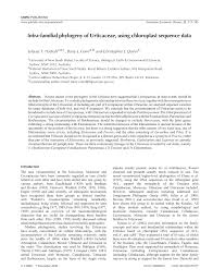 Image result for Droguetia ambigua