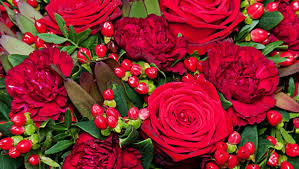 Over 224,092 rose bouquet pictures to choose from, with no signup needed. Classic Red Rose Bouquet Roses Delivered