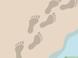 We are working with species quite different from each other, are you noticing? How To Draw Footprints 11 Steps With Pictures Wikihow