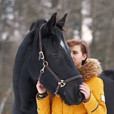 Guide to feeding an underweight horse | Pure Feed