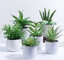 [Hot Item] Plantas suculentas de césped artificial para decoración del  hogar con maceta