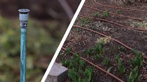 How to install a drip irrigation system in your garden? Converting Sprinklers To Drip In A Flower Bed Garden Answer Youtube